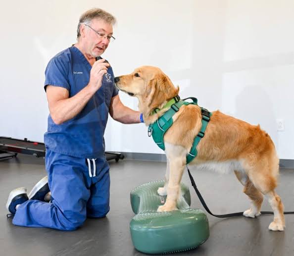 Full Rescue and Rehabilitation